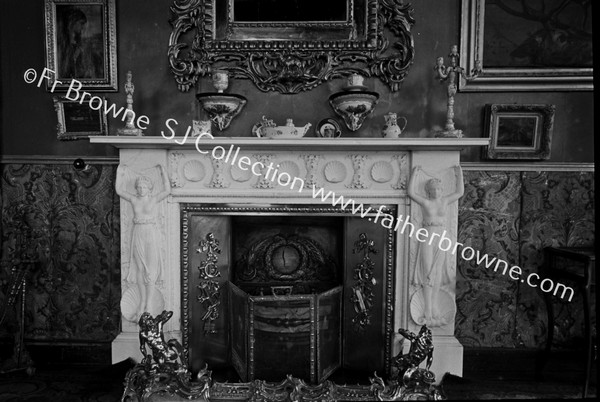 BANTRY HOUSE BLUE SALOON FIREPLACE